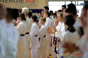 seibukan_8_Int_Kamikaze_Karate_Sommercamp_Neuhofen_2016_016.jpg