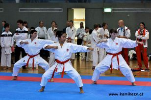 seibukan_Askoe_Landesmeisterschaft_Linz_Auhof_2011_053.jpg