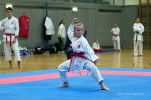 seibukan_Askoe_OOEKarate_Landesmeisterschaft_2013_013.jpg