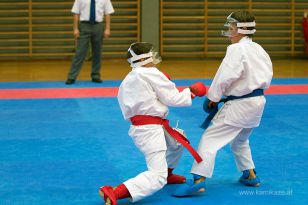 seibukan_Askoe_OOEKarate_Landesmeisterschaft_2013_140.jpg