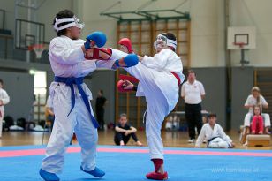 seibukan_Askoe_OOEKarate_Landesmeisterschaft_2013_156.jpg