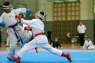 seibukan_Askoe_OOEKarate_Landesmeisterschaft_2013_157.jpg