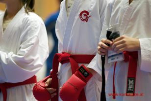 seibukan_Austria_Junior_Open_Walserfeld_2014_055.jpg