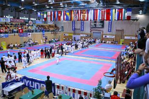 seibukan_Austrian_Junior_Open_2010_007.jpg