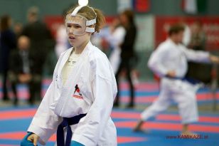 seibukan_Austrian_Karate_Championscup_2015_061.jpg