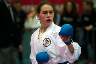 seibukan_Austrian_Karate_Championscup_2015_075.jpg