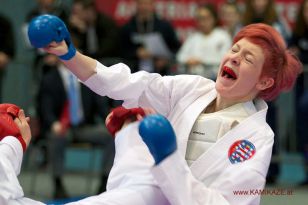 seibukan_Austrian_Karate_Championscup_2015_078.jpg