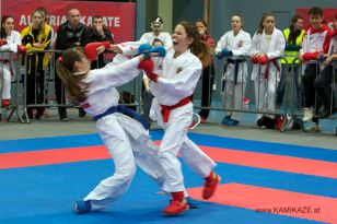 seibukan_Austrian_Karate_Championscup_2015_104.jpg