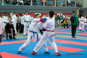 seibukan_Austrian_Karate_Championscup_2015_125.jpg