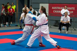 seibukan_Austrian_Karate_Championscup_2015_157.jpg