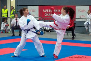 seibukan_Austrian_Karate_Championscup_2015_162.jpg