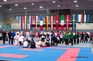 seibukan_Austrian_Karate_Championscup_2015_177.jpg