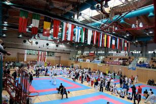 seibukan_Austrian_Open_Golden_League_2009_003.jpg