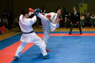 seibukan_Austrian_Open_Golden_League_2009_055.jpg