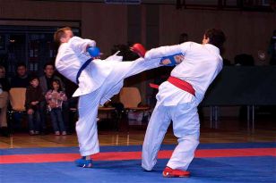 seibukan_Austrian_Open_Golden_League_2009_057.jpg