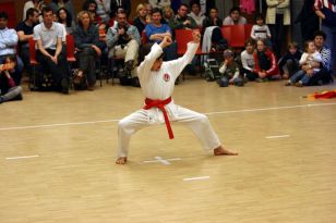 seibukan_Bushido_Nachwuchscup_2009_007.jpg