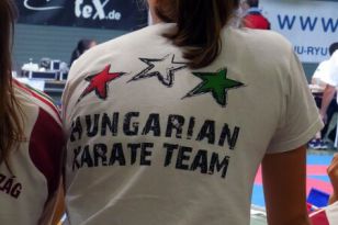 seibukan_Goju_Ryu_EM_Heilbronn_2014_063.jpg