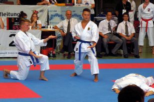 seibukan_Goju_Ryu_EM_Heilbronn_2014_098.jpg