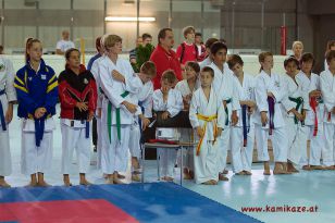 seibukan_Intern_Huegelland_Cup_2012_016.jpg