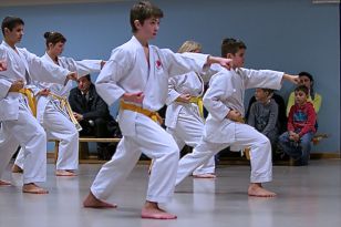 seibukan_KARATE_ein_Sport_fuer_Alt_und_Jung_2012_005.jpg