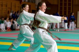 seibukan_Oesterr_Shotokan_Meisterschaft_2011_028.jpg