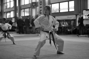 seibukan_Oesterr_Shotokan_Meisterschaft_2013_012.jpg