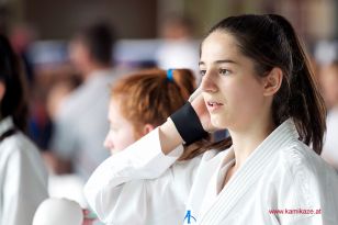 seibukan_Oesterr_Shotokan_Meisterschaft_StGeorgen_2015_053.jpg