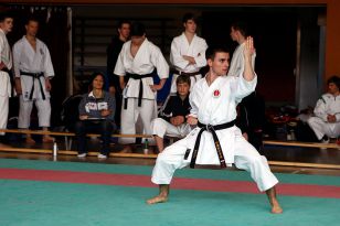 seibukan_Shotokan_Cup_2010_012.jpg