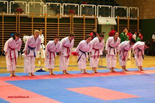 seibukan_Styrian_Open_Fuerstenfeld_2013_018.jpg