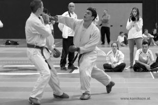 seibukan_Styrian_Open_Fuerstenfeld_2014_104.jpg