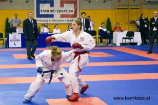 seibukan_Wado_Kai_EM_in_Budapest_2013_069.jpg