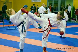 seibukan_Wado_Kai_EM_in_Budapest_2013_071.jpg