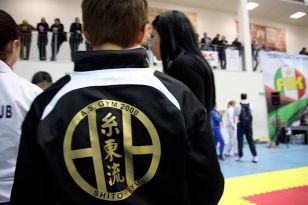 seibukan_World_Karate_Championship_italien_2016_031.jpg