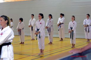 seibukan_8_Int_Kamikaze_Karate_Sommercamp_Neuhofen_2016_018.jpg