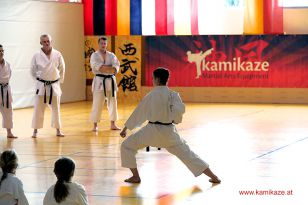 seibukan_8_Int_Kamikaze_Karate_Sommercamp_Neuhofen_2016_021.jpg