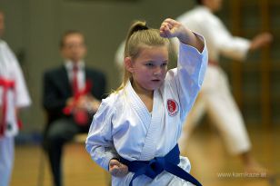 seibukan_Askoe_OOEKarate_Landesmeisterschaft_2013_017.jpg