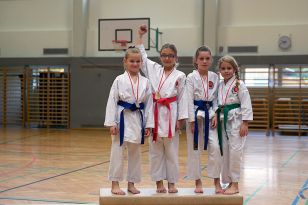 seibukan_Askoe_OOEKarate_Landesmeisterschaft_2013_031.jpg