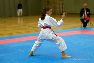 seibukan_Askoe_OOEKarate_Landesmeisterschaft_2013_050.jpg