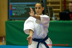 seibukan_Austrian_Junior_Open_2011_036.jpg