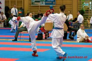 seibukan_Austrian_Junior_Open_2011_073.jpg