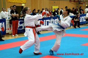 seibukan_Austrian_Junior_Open_2011_102.jpg