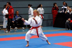 seibukan_Austrian_Karate_Champions_Cup_2010_014.jpg