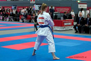 seibukan_Austrian_Karate_Championscup_2015_012.jpg