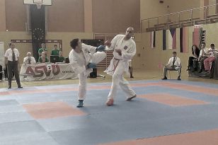 seibukan_EGKF_Senior_Goju_Ryu_Championships_2013_014.jpg