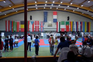 seibukan_Goju_Ryu_EM_Heilbronn_2014_012.jpg