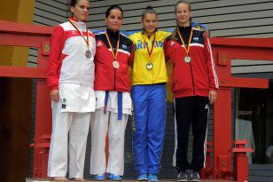 seibukan_Goju_Ryu_EM_Heilbronn_2014_113.jpg