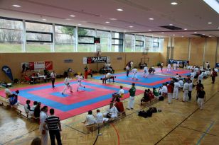 seibukan_Goju_und_Wado_OEM_Feldkirchen_2011_001.jpg