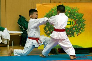 seibukan_Junior_Open_2016_042.jpg