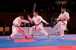 seibukan_Karate1_Premier_League_and_Youth_World Cup_Salzburg_2013_086.jpg