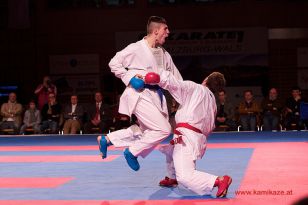 seibukan_Karate1_Premier_League_and_Youth_World Cup_Salzburg_2013_104.jpg